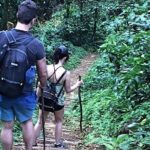 Small-Group Adventure Trek in Grand Etang National Park - Who Should Consider This Tour?