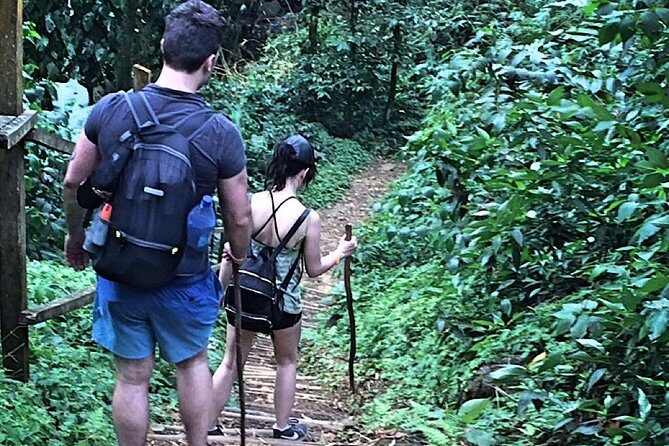 Small-Group Adventure Trek in Grand Etang National Park - Who Should Consider This Tour?