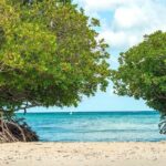 Small-Group Aruba Scuba Diving for Non-Certified Divers - Why This Experience Stands Out