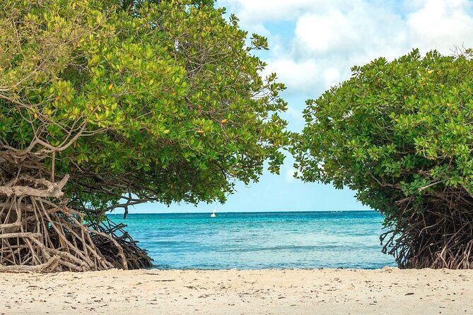 Small-Group Aruba Scuba Diving for Non-Certified Divers - Why This Experience Stands Out