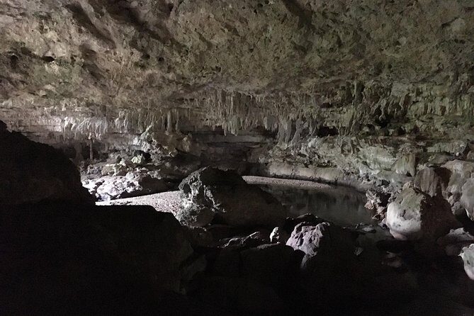 Small group Caracol Tour from San Ignacio - Who is this tour best suited for?