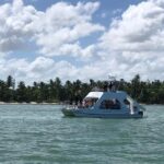 Small-Group Cruising and Snorkeling Catamaran Tour - A Comprehensive Look at the Small-Group Cruising and Snorkeling Catamaran Tour