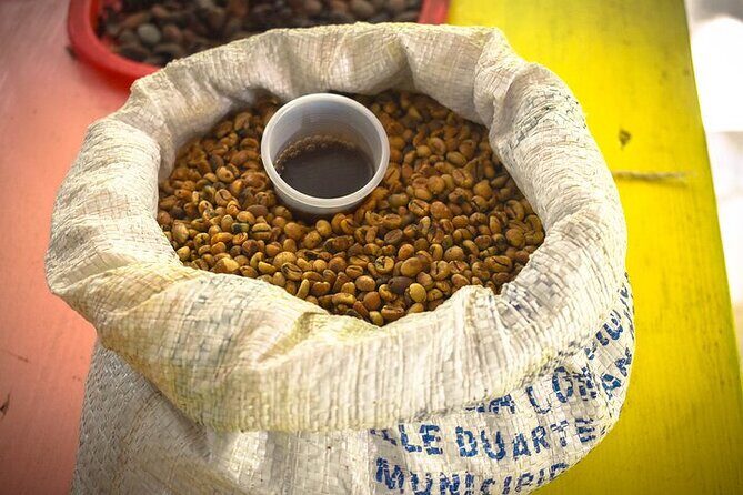 Small Group Cultural Safari - Adventure Activities: Ziplining, Horseback Riding, and Dune Buggies