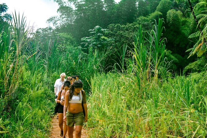 Small-Group El Yunque Rainforest Vivid Day Tour with Transport - FAQs