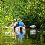 Small Group Glass Bottom Kayak Adventure- Cayman Islands - A Deep Dive into the Cayman Islands Glass Bottom Kayak Adventure