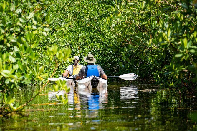 Small Group Glass Bottom Kayak Adventure- Cayman Islands - A Deep Dive into the Cayman Islands Glass Bottom Kayak Adventure