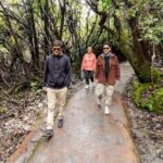 Small Group Half Day Guided Tour Visit to Poas Volcano - Coffee Culture at Hacienda Alsacia