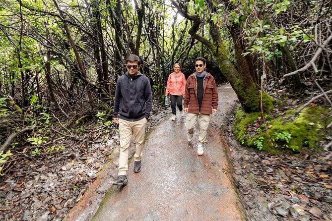 Small Group Half Day Guided Tour Visit to Poas Volcano - Coffee Culture at Hacienda Alsacia