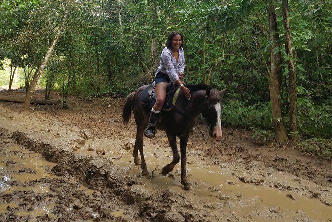 Small-Group Half-Day Horseback Riding Tour from Punta Cana - Frequently Asked Questions