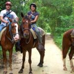 Small Group: Half Day Punta Cana Cultural Tour - Exploring the Itinerary in Detail