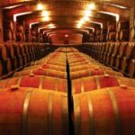 Small-Group Maipo Vineyards Full-Day Experience with Optional Lunch - The Strengths of This Tour