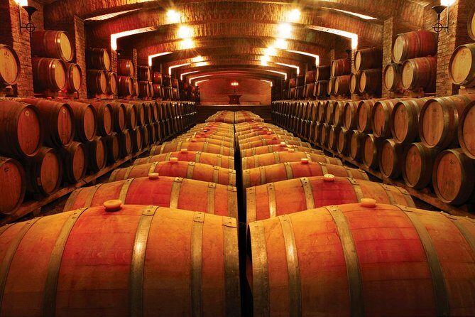 Small-Group Maipo Vineyards Full-Day Experience with Optional Lunch - The Strengths of This Tour