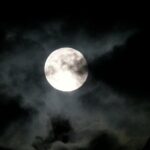 Small Group Night Walking Tour in Monteverde - Who Will Appreciate This Tour?