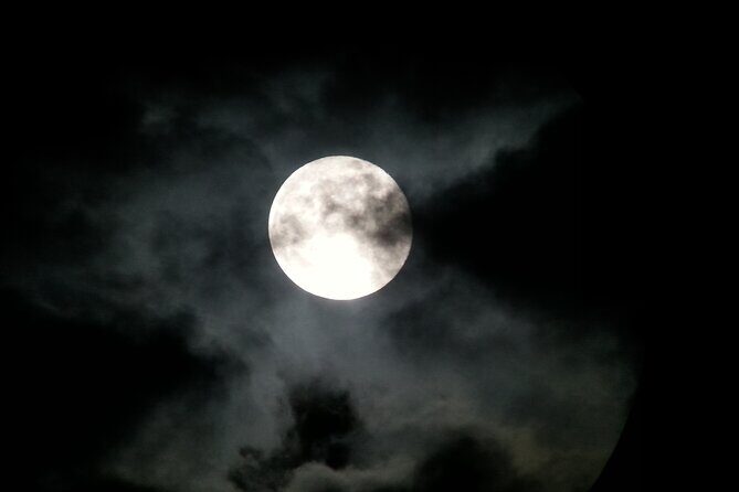 Small Group Night Walking Tour in Monteverde - Who Will Appreciate This Tour?