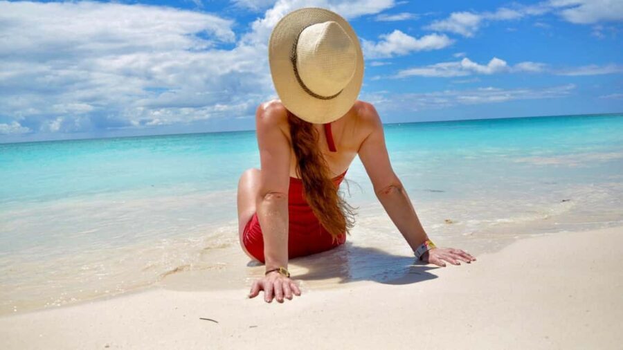 Small Group: Saona Island Full Day Tour Catamaran Open Bar - What Makes This Tour Stand Out?