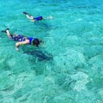 Small-Group Snorkeling Experience at Sea Garden - An In-Depth Review of the Snorkeling Adventure
