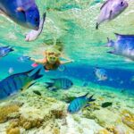 Small Group Snorkeling, Sharks & Stingrays Encounter by boat - What Travelers Say: Authentic Perspectives