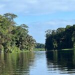 Small Group Tortuguero National Park Canoe Tour - An In-Depth Look at the Tour Experience