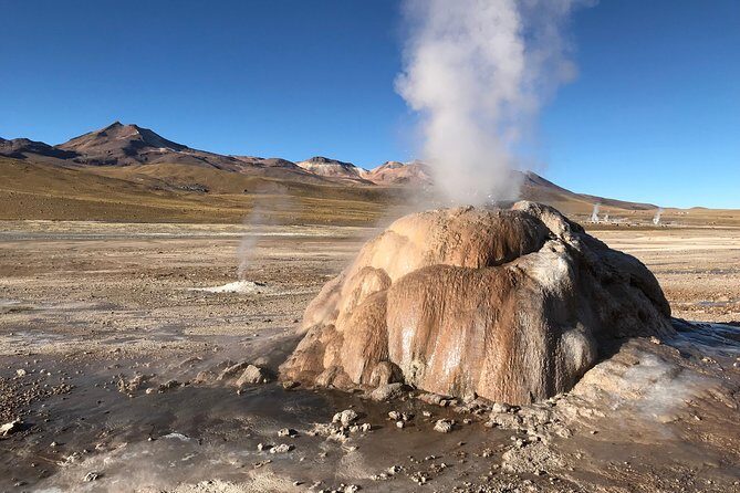 Small-Group Tour to Tatio Geysers Machuca Village & Rio Putana wetlands - Final Thoughts