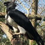 Small group tour to the Aviary from Cartagena - What Travelers Love Most