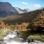 Small group Trekking to Vinciguerra Glacier and Témpanos Lagoon - Practical Details and What’s Included