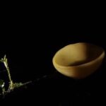 Small Group Wildlife Refuge Monteverde Night Walking Tour - An In-Depth Look at the Monteverde Night Walk Experience