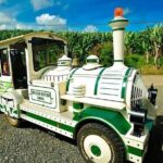Small train tour of a banana farm in Martinique - Who should consider this tour?