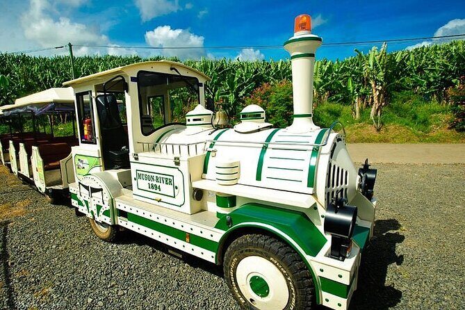 Small train tour of a banana farm in Martinique - Who should consider this tour?