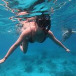 Snorkel Adventure at Bonaire Marine Park - Who Should Consider This Tour?
