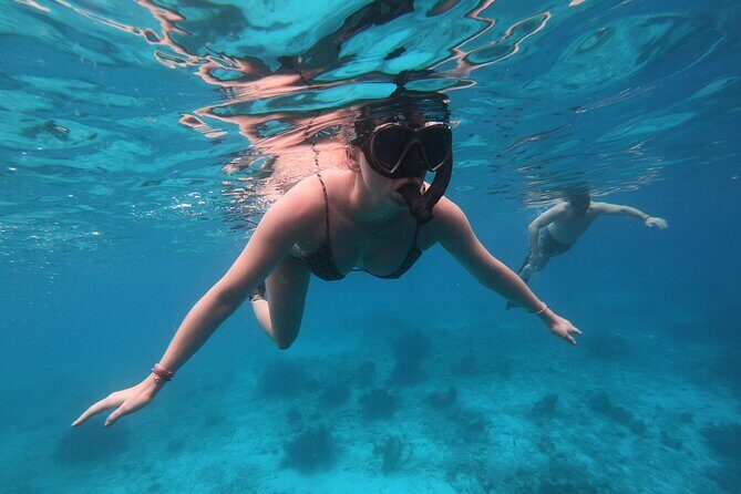Snorkel Adventure at Bonaire Marine Park - Who Should Consider This Tour?