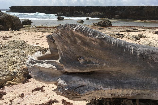 Snorkel and Beach Adventure Tour - Who Will Love This Tour?