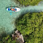 Snorkel Aruba's Vibrant Waters and Serene Mangroves Private Tour - An Authentic, Relaxing Snorkeling Experience in Aruba