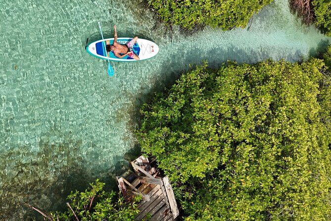 Snorkel Aruba's Vibrant Waters and Serene Mangroves Private Tour - An Authentic, Relaxing Snorkeling Experience in Aruba
