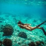 Snorkel boat trip: Sunken ship, old dutch fort & spanish bay - Who Will Love This Tour?