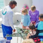 Snorkel Lovers for All Ages & Premium Seafood Lunch in Punta Cana - What Makes This Tour Stand Out?