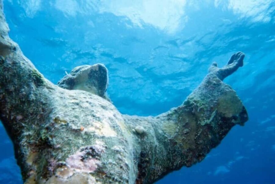 Snorkel Private Tour to Underwater Sculptures in Grenada - An In-Depth Look at the Tour Experience