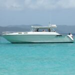Snorkel St. John Tour from Sapphire and Margaritaville - Practical Details and Tips