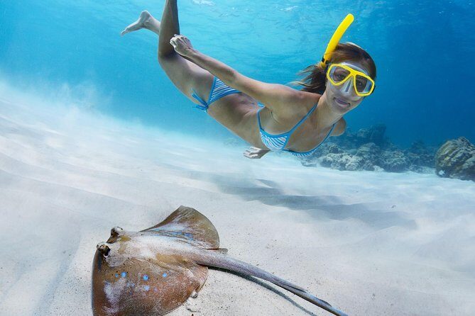 Snorkel & Swim with Turtles. Semi Private Tour to Buck Island & Honeymoon Beach - FAQs