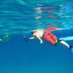 Snorkel Tour - Who Will Love This Snorkel Tour?