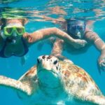 Snorkel Tour in Curacao - A Closer Look at the Snorkel Tour in Curacao