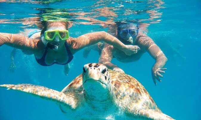 Snorkel Tour in Curacao - A Closer Look at the Snorkel Tour in Curacao