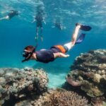 Snorkeling activity with Boat ride from Montego Bay - Detailed Breakdown of the Itinerary