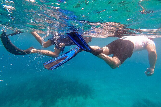 Snorkeling Aguadilla for Families with Children - Final Thoughts: Who Will Love This Tour?