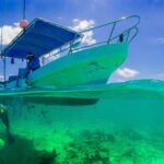 Snorkeling and mangroves with lunch at Baru white beach Cartagena - An In-Depth Look at the Experience