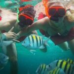 Snorkeling and Shopping in Montego Bay with Hotel pickup - FAQ
