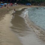 Snorkeling and Sightseeing Tour Explore Puerto Rico Marine Life - The Sum Up: Is This Tour Worth It?