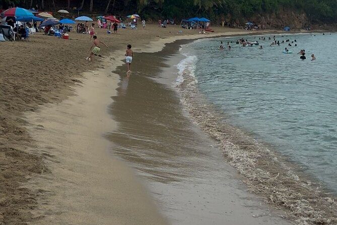 Snorkeling and Sightseeing Tour Explore Puerto Rico Marine Life - The Sum Up: Is This Tour Worth It?