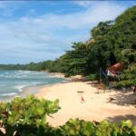 Snorkeling! & Cahuita national park Private Sightseeing Tours - Authentic Experiences and Real Travelers’ Insights