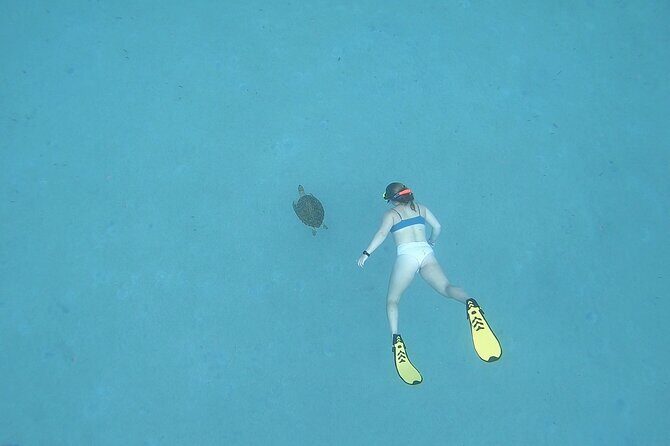 Snorkeling Gear Rental - Final Thoughts