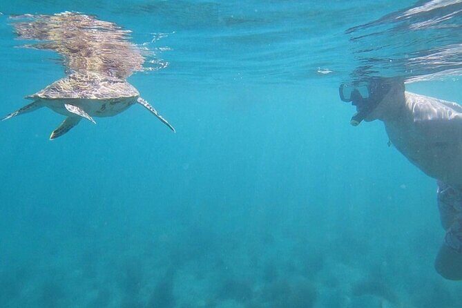 Snorkeling in Paradise - Videos Included - Final Thoughts